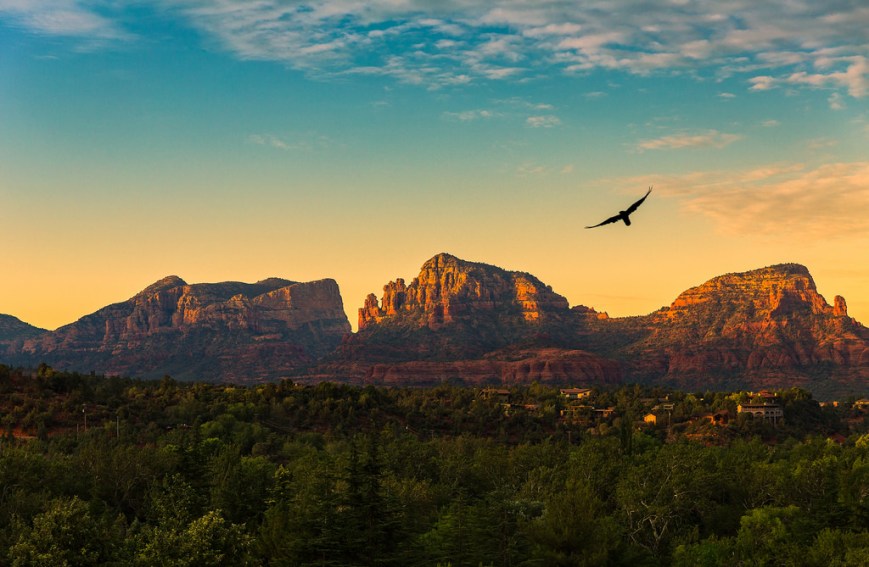 raven-in-sedona