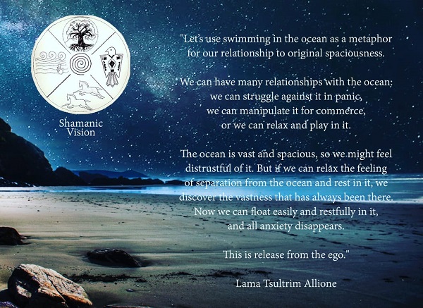 Sea healing with shamanic vision logo